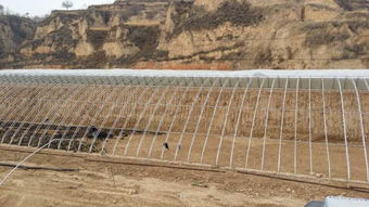 河南日光温室建造工程与邯郸日光温室建造厂家 高效设施农业的施工实践